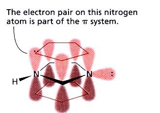 Imidazolo L azoto (N1) è simile al pirrolo, partecipa al sistema π e ha un NH nel piano, mentre l altro (N3) ha un doppietto che non partecipa al