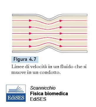 Fluidi in movimento Elementi di fluido che giungono in un punto vi transitano sempre con la stessa velocità.