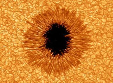 numero di macchie solari (SUNSPOTS) [scoperte da