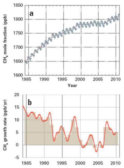 METANO [CH 4 ] 1800 ppb Ha una breve persistenza in atmosfera: 10-11 anni Il tasso di aumento di metano in