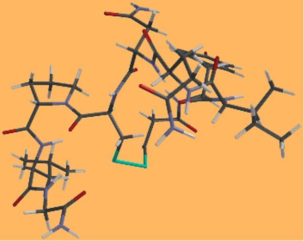 Peptidi ei peptidi si trova un altro legame covalente che è il ponte disolfuro che si forma tra due cisteine spesso in posizioni remote lungo la sequenza primaria del peptide.