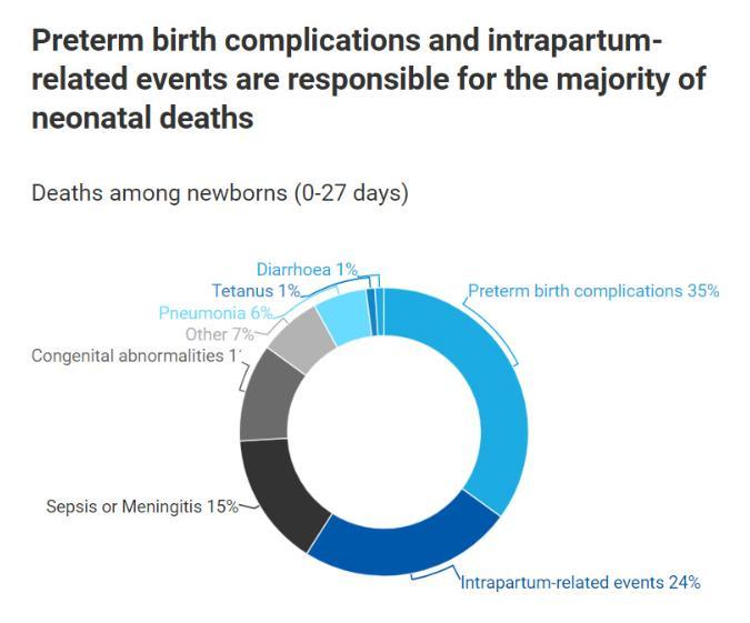 La maggior parte dei neonati muore per cause prevenibili o curabili: complicazioni dovute a nascite premature, insorte durante il travaglio e il parto, infezioni come la sepsi, la polmonite e il