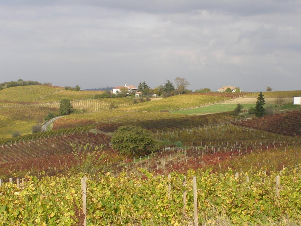 Settore Fitosanitario Progetti pilota di Acqui, Nicese Val Tiglione e Valle Belbo