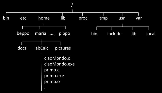 BREVISSIMA GUIDA AL SISTEMA UNIX / LINUX 1.