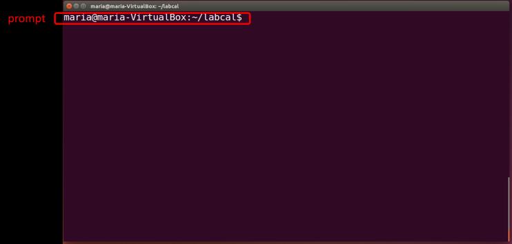 home: Directory di base dell utente path: percorso : La lista delle directory a partire dalla directory radice / fino a una certa directory o file.