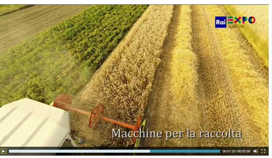 E' stato scelto il claim Meccanica italiana, ecco di che pasta siamo fatti per ricollegarci al tema e per essere facilmente riconoscibili.