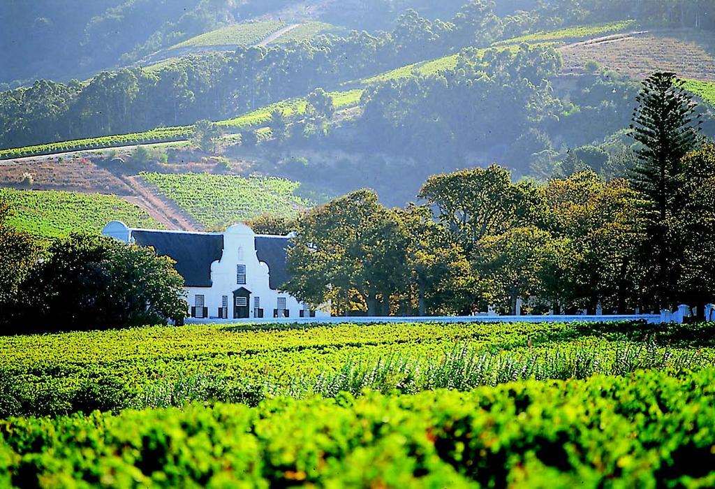 Stretta tra Oceano e monti, Città del Capo (Cape Town) è la città più turistica e frizzante del Sudafrica.