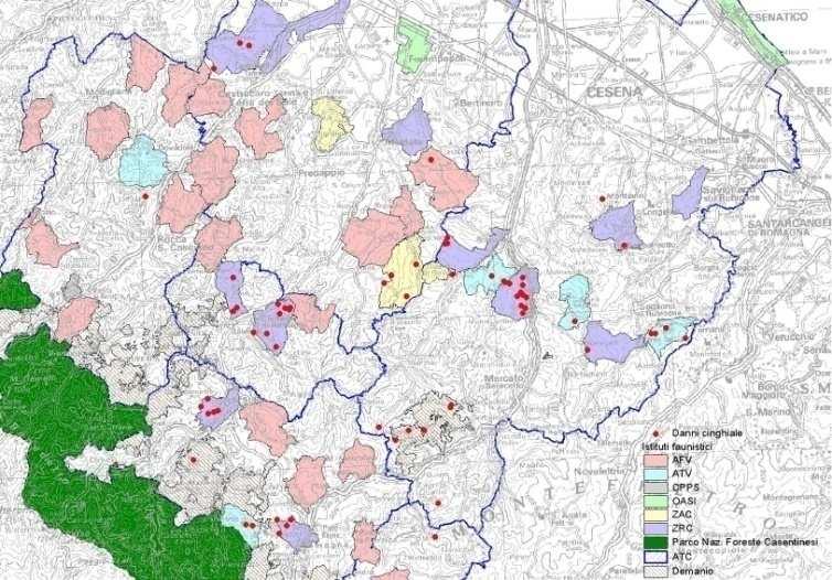 dei danni Programmazione di adeguati sistemi di prevenzione Ripristini ambientali