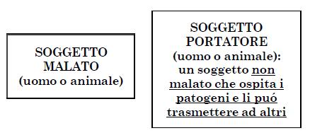 SORGENTI D INFEZIONE Le più classiche sorgenti d infezione sono: Una