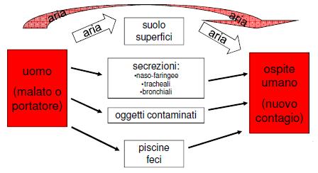 MALATTIE A TRASMISSIONE AEREA Sono malattie