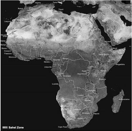 In Africa non si ha una particolare sostituzione faunistica 3,2 maf quanto la comparsa dei generi moderni, il leone, il leopardo, il ghepardo, la iena macchiata.