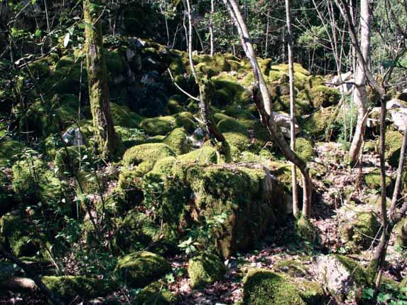 Pogled s istoka na ostatke crkve sv. Bartula na Krvavcu (foto: Marinko Tomasović) prema spomenu titulara 1422. 13 O užem položaju crkve sv.