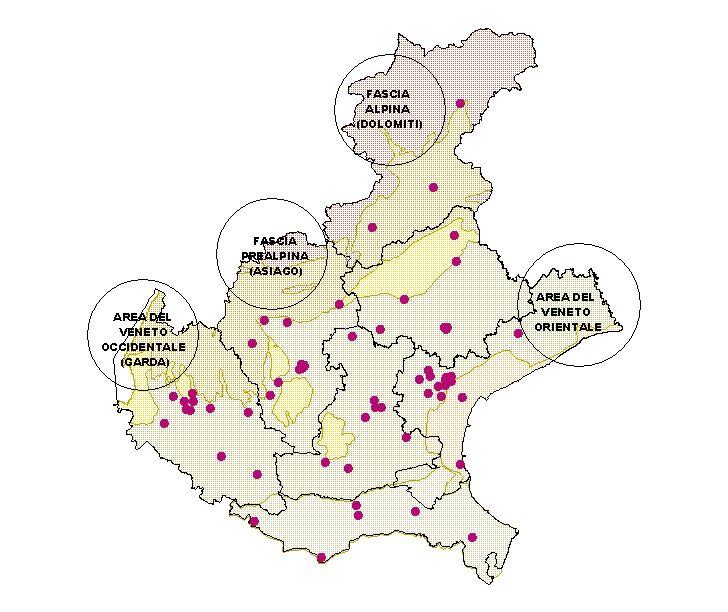 agglomerati urbani e in stazioni di tipo rurale, al fine di individuare la dinamica di formazione e trasporto di questo inquinante.