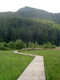 LETTURA DEL TERRITORIO ITINERARI DIDATTICI NELLE RISERVE NATURALI PROVINCIALI Visite guidte lungo percorsi di interesse nturlistici ll interno di lcune riserve nturli provincili per conoscere il