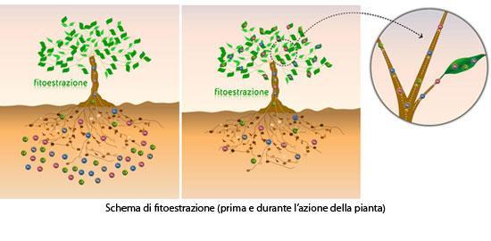 valorizzazione di una risorsa importante come il suolo.