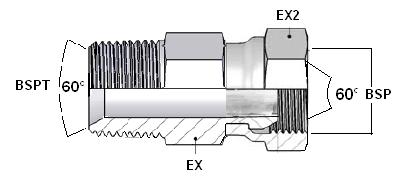 BSPT MALE/BSP SWIVEL FEMALE ADAPTOR Adattatore m. gas conico/femm. gas girevole 1 1 (MALE/MASCHIO) BSPT 2 2 (FEMALE/FEMM.