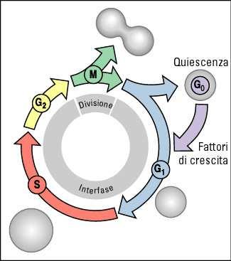 durata (minuti o ore)