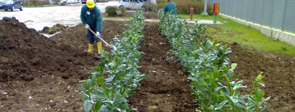 2. Depuratori Impianti di sub-irrigazione e fitodepurazione a vassoi assorbenti Gli impianti di sub-irrigazione e fitodepurazione a vassoi assorbenti vengono utilizzati per scarichi di origine civile