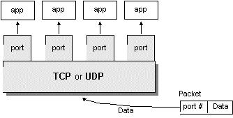 Accesso alla rete: Socket Il protocollo IP definisce l indirizzamento dei computer collegati ad Internet. Ad ogni computer è univocamente associato un indirizzo IP formato da 4 byte (es: 128.0.