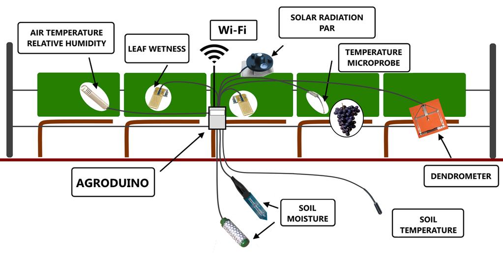 firmware sono distribuiti con licenza