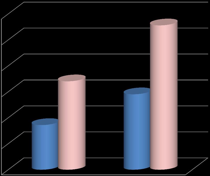 Grafico 12/a: Lavoratori occupati con contratto di apprendistato - ANNO 2013 Lavoratori