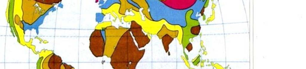 Il campo magnetico è caratterizzato dalle linee di forza che indicano in ogni punto la direzione in cui si disporrebbe un ago magnetico