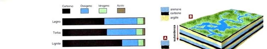 Risorse non rinnovabili Carboni fossili (dalla rivoluzione industriale): sono