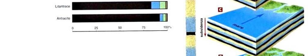 Si formano per arricchimento in C ad opera di batteri anaerobi, da resti