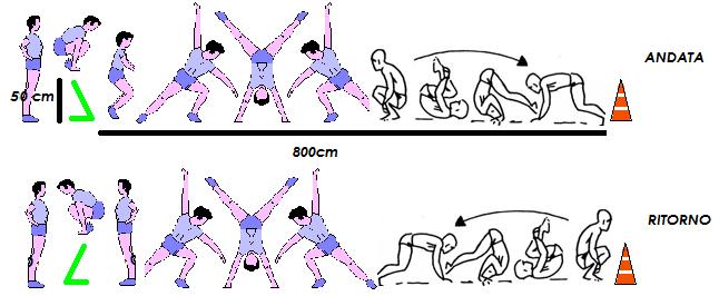 2. MATERIALE: 1 ostacolo alto 50 cm, cono posto a 800cm dall ostacolo.