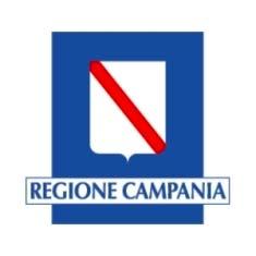 REGIONE CAMPANIA Assessorato alla Sanità Osservatorio Epidemiologico Regionale L epidemia influenzale da A/H1N1