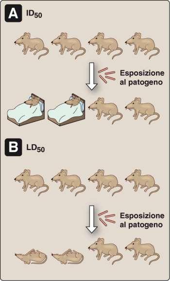 4. PATOGENICITÀ PATOGENICITA = capacità di dare malattia