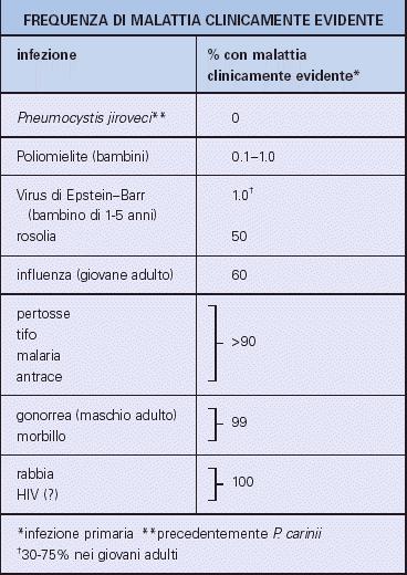 Il concetto