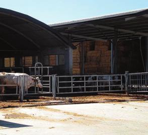 rural4 learning c oltiva la tua passione per la terra qualità, yogurt probiotici da bere in vari gusti, panna da crema di latte e burro in varie confezioni.