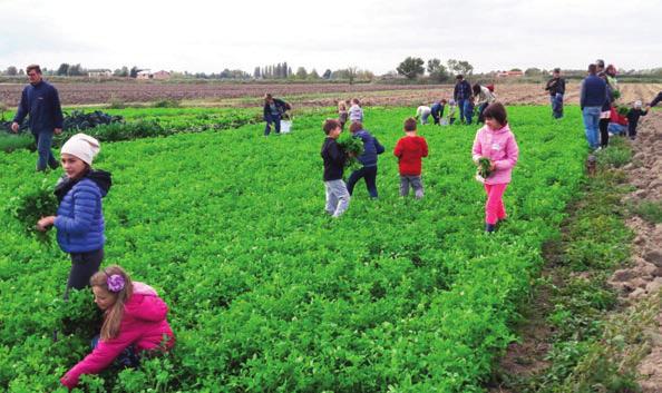 M asseria M atilde Iungano TitolarE: Matilde Iungano Visita di campo Giovedì 1 Dicembre Contrada Maragnano, 8 Forenza (PZ) Tel./fax: 0971 773167 338 4983268 matilde.iungano@libero.