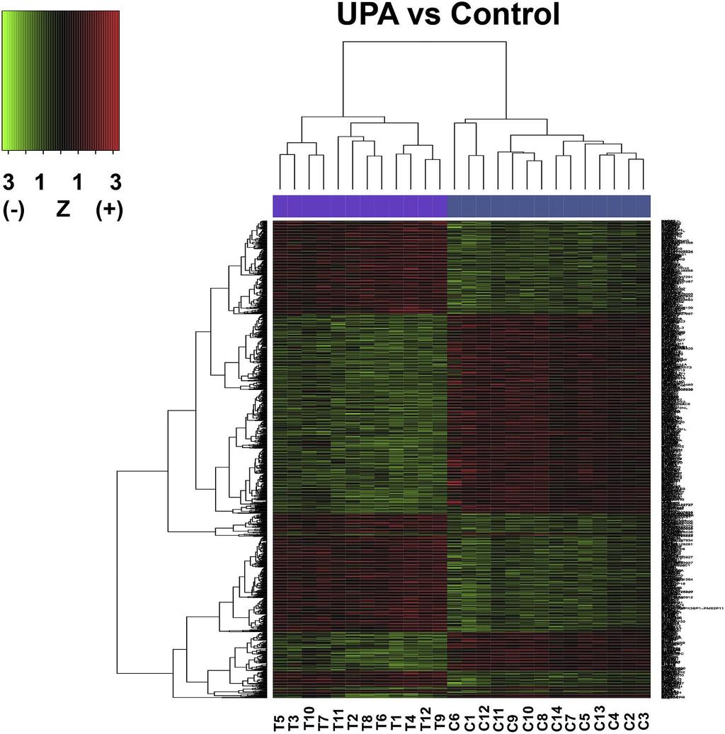 Fig. 1. Gene clustering of the GeneChip Human Gene 2.0 ST Array (Affymetrix) data showing pairwise comparison of: UPA-treated (T) versus non-treated (Control, C) endometrial samples.