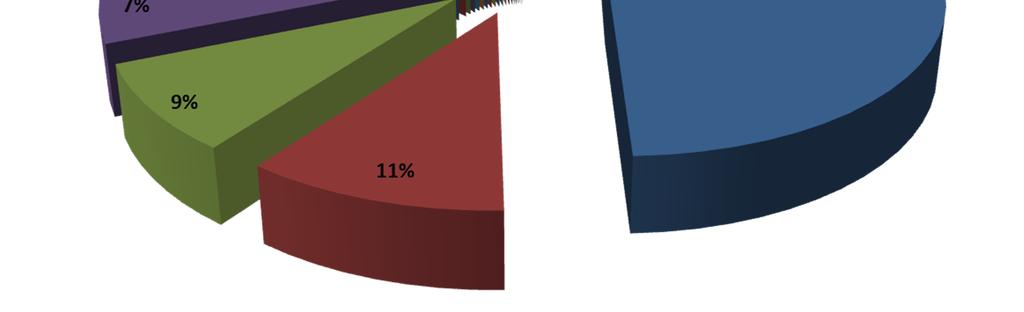 JE 0,59% RCE 0,34% CAN 0,32% AUT 0,27% SIN 0,26% SLK 0,25% CI 0,16% SNA 0,10% SVI 0,10% PL 0,10% Nella Gestione Ri.