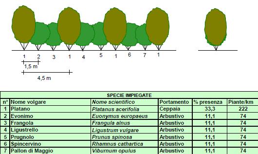 consociazioni ragionate tra specie arboree e arbustive -