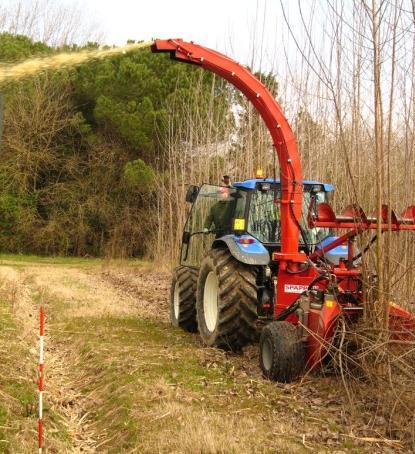 FTB-legno-energia analisi dei vantaggi