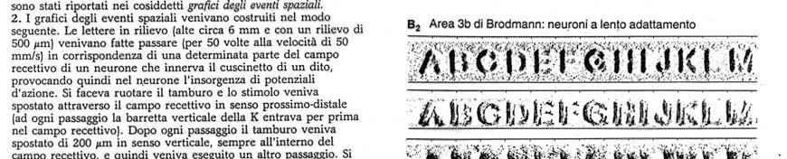 rispondono pressione 1/4 neuroni rispondono stimolazione specifica (oggetto di