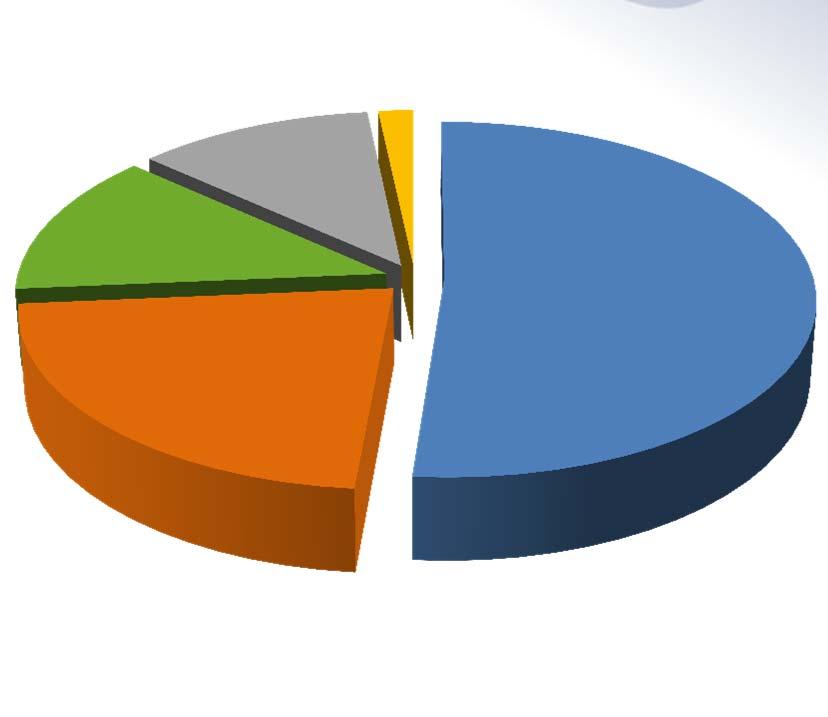 Sito internet aziendale Utilizzo del sito Frequenza di aggiornamento 70% 60% 50% 11,6% 1,7% 40% 30% 20% 10%