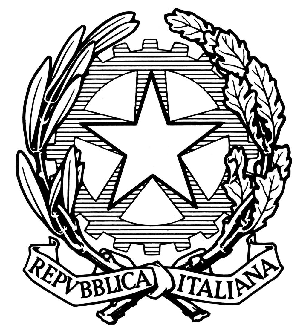 Istituto Nazionale di Statistica Via Cesare Balbo 16, 00184 Roma Telefono +39 06 centralino 4673.1 Cod. Fisc. 80111810588 Partita IVA 02124831005 Geom.