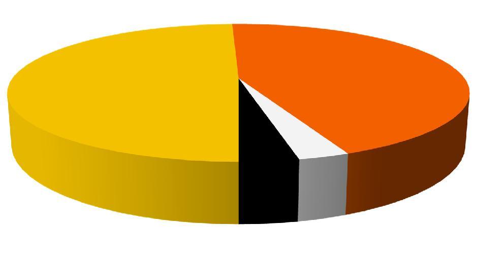 Provenienza espositori presenza estera: 51% Germania