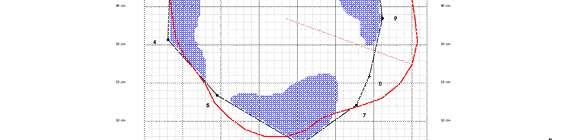 Riccardo Antonaroli FIELD INPUT VALUES Altezza albero 14 14 Diametro