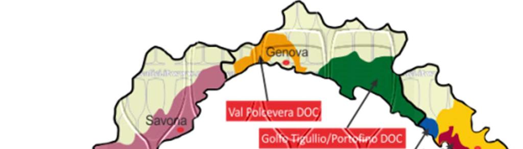 Nei disciplinari IGT la presenza delle caratteristiche organolettiche non è obbligatoria ma facoltativa, per cui nella maggior parte dei casi non è presente, anche se esistono delle eccezioni.