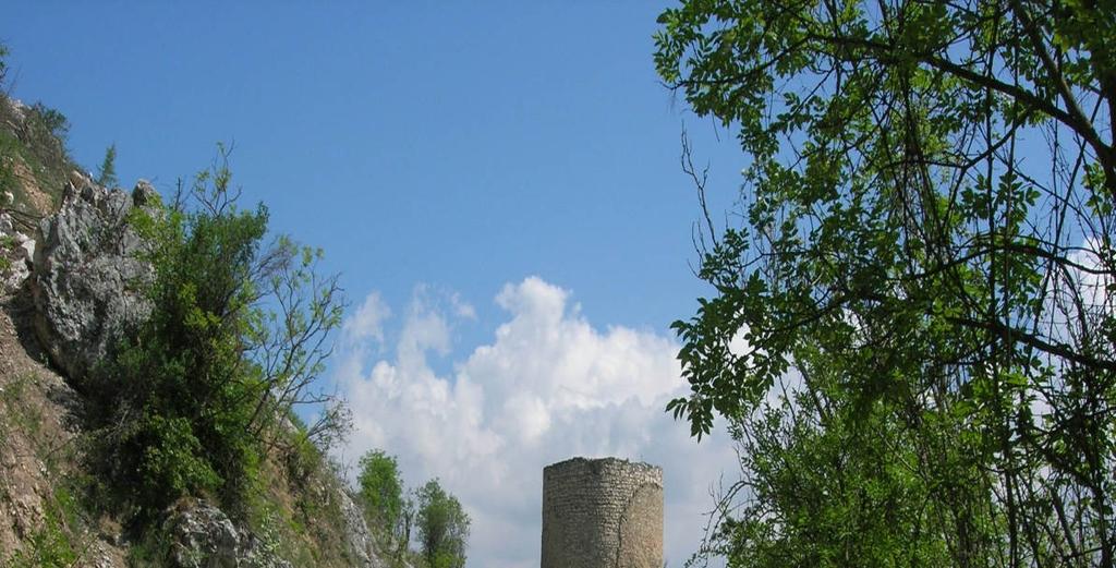 Azioni del sima sui terreni Amplificazione sismica Frane