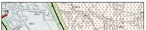 Azioni del sima sui terreni Effetti di superficie delle faglie Per fagliazione di superficie si intende la dislocazione istantanea (cosismica) verticale e/o orizzontale dei terreni di fondazione