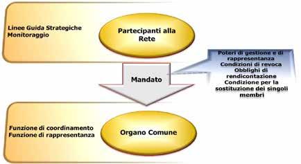 81 In questa ipotesi, all Assemblea dei Partecipanti (Comitato di Rete) spetta quindi la definizione delle linee guida strategiche della Rete e il monitoraggio dell attività dell Organo Comune, il