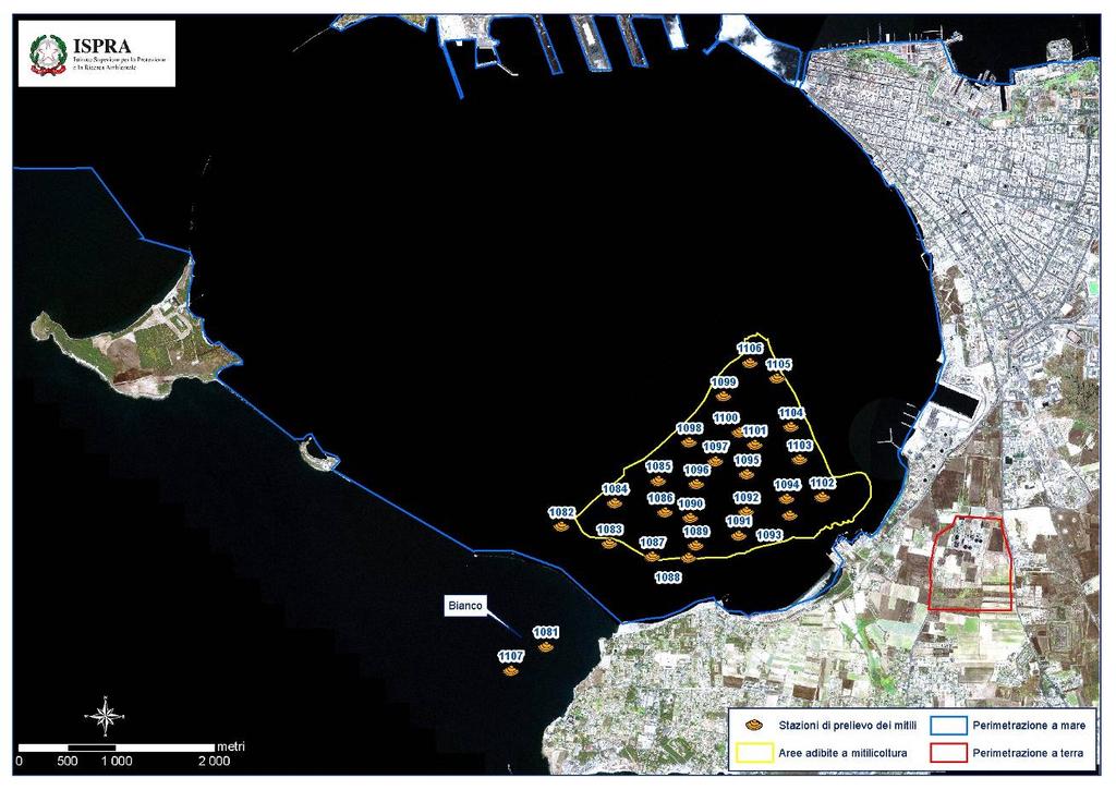 4.5. Visualizzazione e valutazione dei risultati della caratterizzazione degli organismi Di seguito si riportano gli esiti e le relative rappresentazioni grafiche dei risultati analitici di metalli e