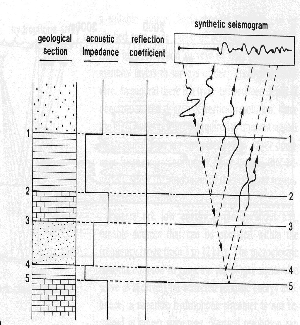 Utilizzo di sismogrammi e sezioni sintetici Come visto, la costruzione di un sismogramma sintetico o di una