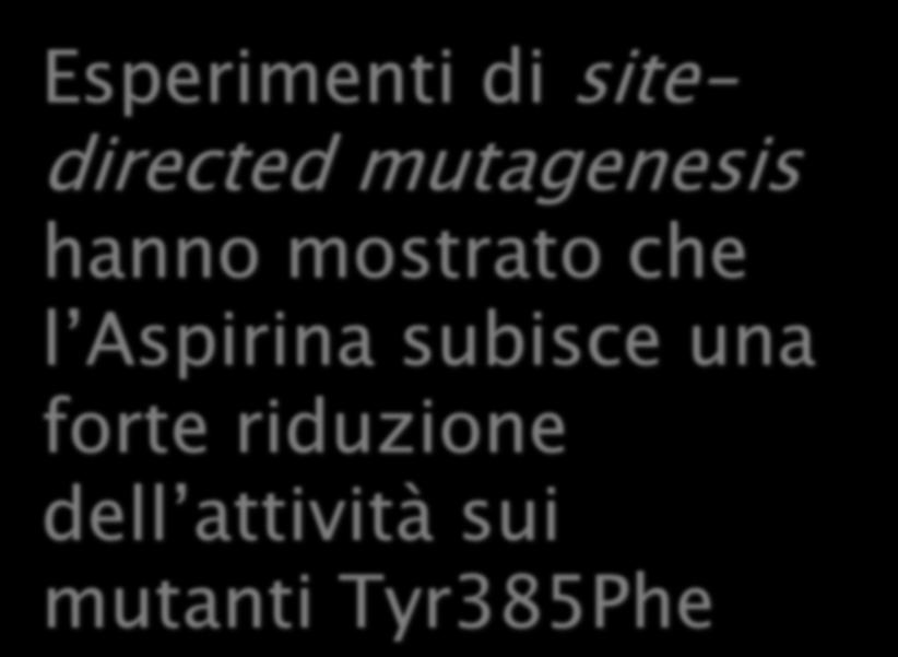 mutagenesis hanno